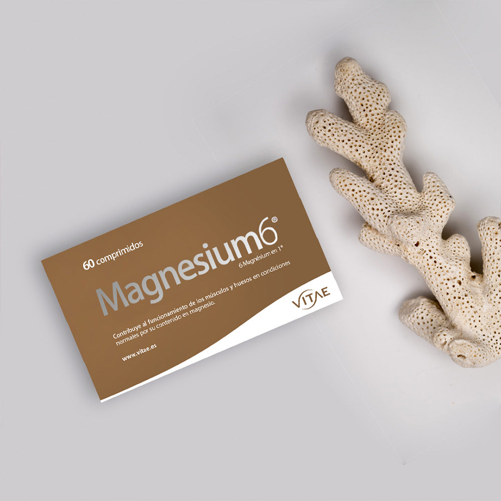 MAGNESIUM 6 20 COMPRIMIDOS VITAE